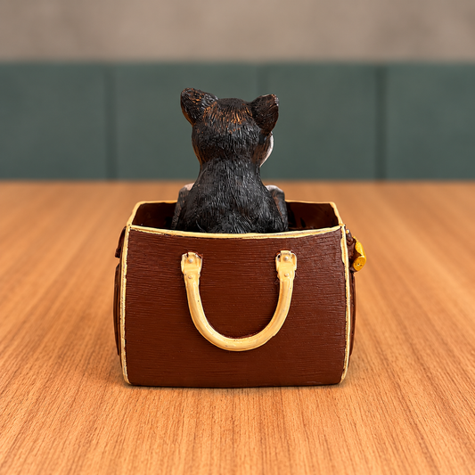 Gatinho na Bolsa
