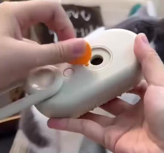 Escova à vapor